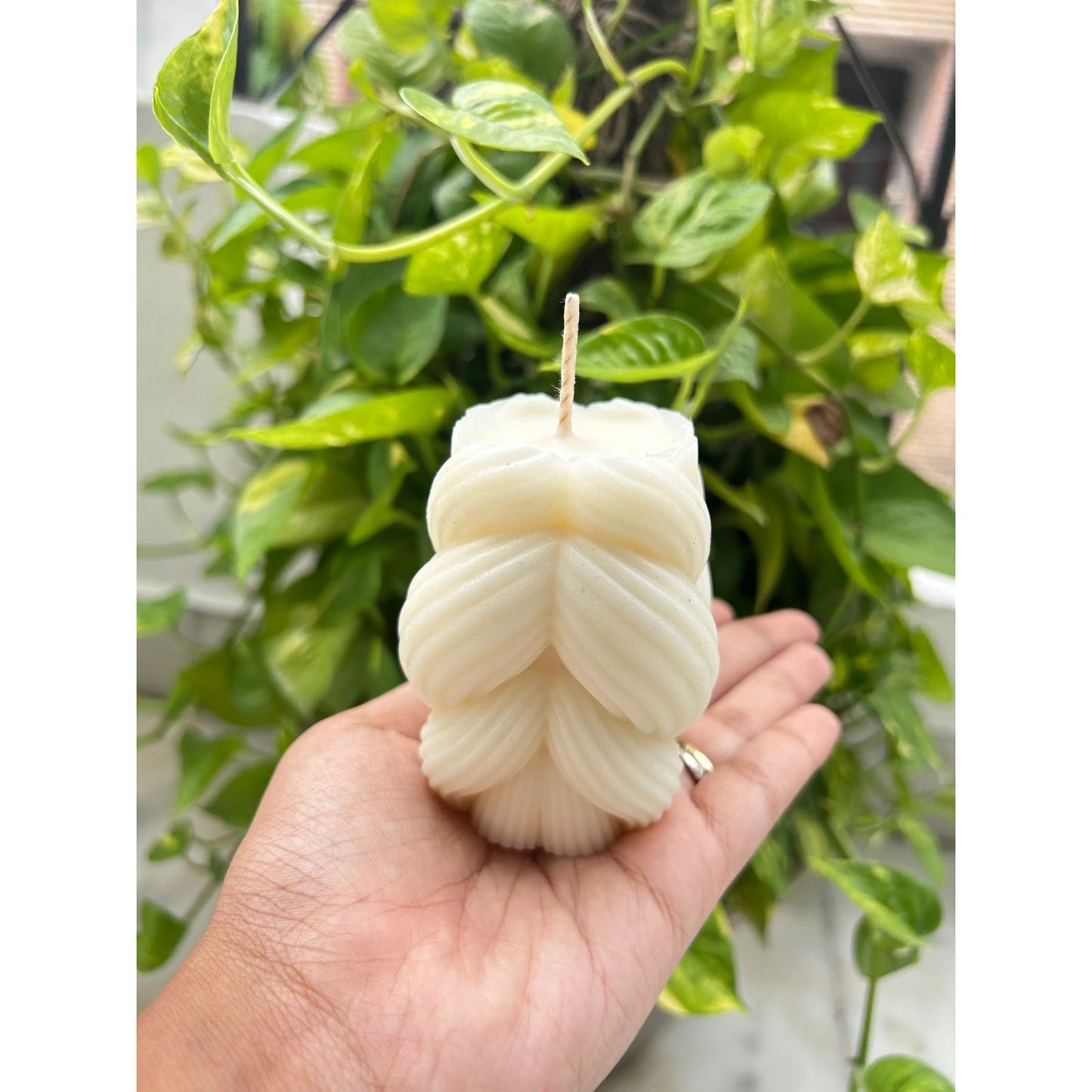 Botanic Braid Candle (Set of 2)