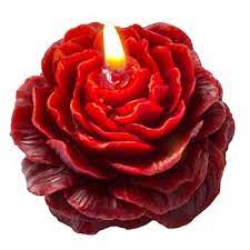 Blooming Rose Flower Candles (Set of 2)